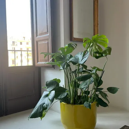 Galleria Cuto - Art Boutique Palermo